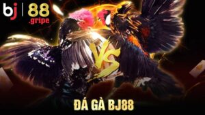 Đá gà BJ88